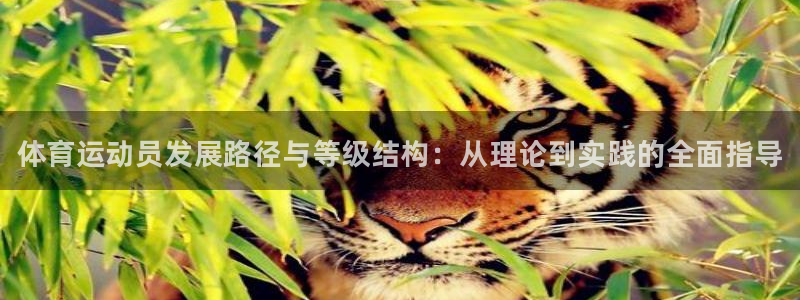 米兰体育官方正版app娱乐首页网站大全：体育运动员发