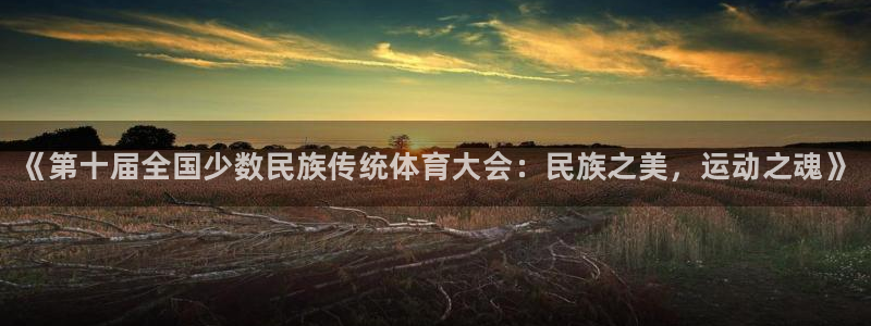 米兰体育官方正版app集团logo：《第十届全国少数