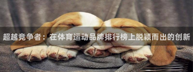 米兰体育官方正版app集团官网首页网址：超越竞争者：