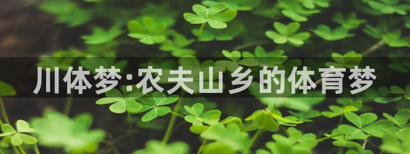米兰体育官方正版app代理：川体梦:农夫山乡的体育梦
