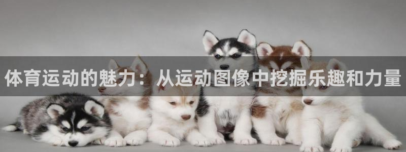 米兰体育官网下载平台是正规平台吗安全吗