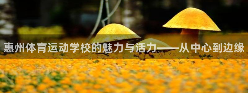 米兰体育官方正版app集团官网网址：惠州体育运动学校