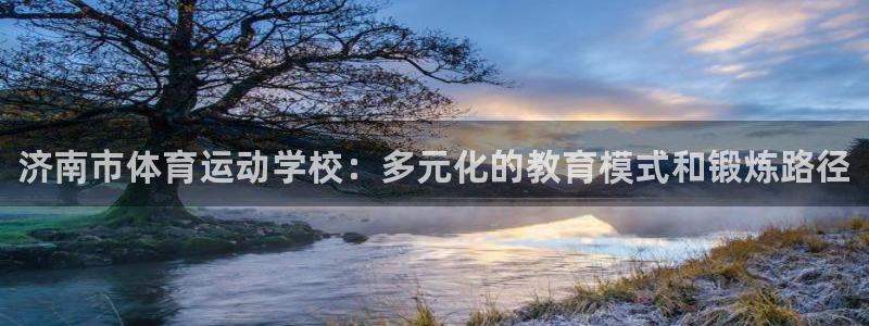海南米兰体育官网下载：济南市体育运动学校：多元化的教育模式和