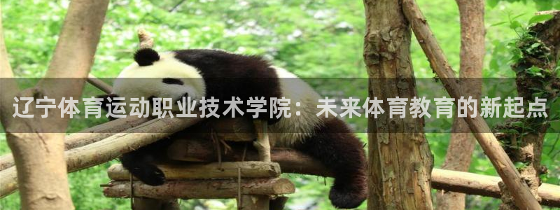 米兰体育官方正版app娱乐首页网站大全