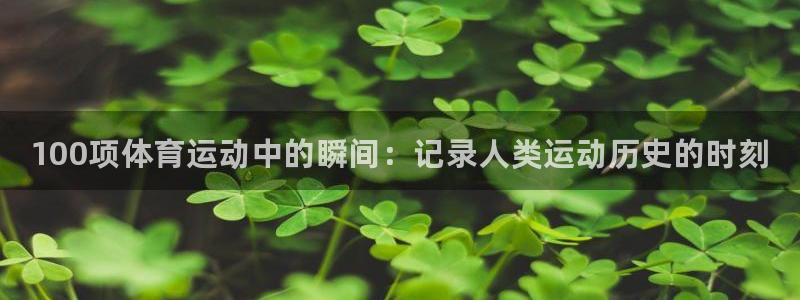 米兰体育官方正版app集团logo