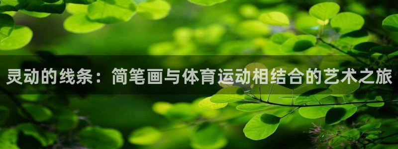 米兰体育官方正版app开户