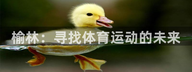 米兰体育官网下载娱乐：榆林：寻找体育运动的未来