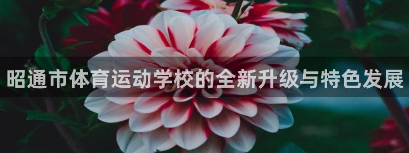 米兰体育官网下载平台注册：昭通市体育运动学校的全新升
