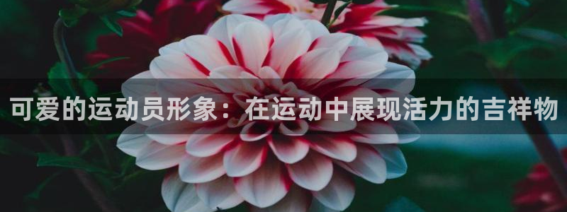 米兰体育官方正版app神州：可爱的运动员形象：在运动中展现活