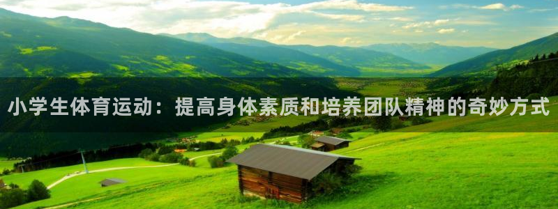 德国米兰体育官方正版app集团：小学生体育运动：提高身体素质