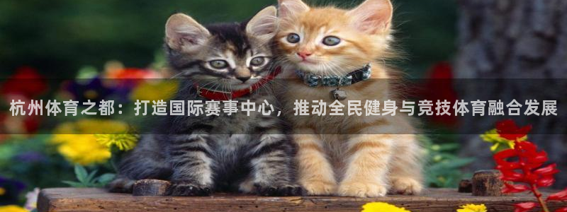 米兰体育官网下载娱乐：杭州体育之都：打造国际赛事中心