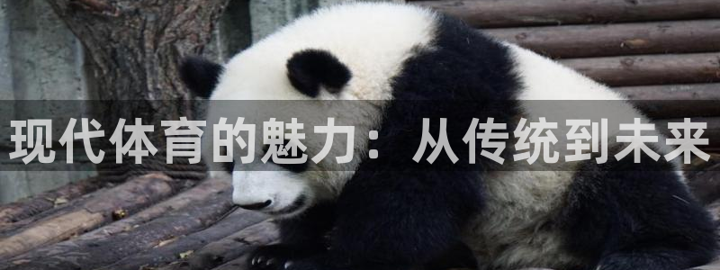 米兰体育官网下载平台假的吗是真的吗吗：现代体育的魅力：从传统