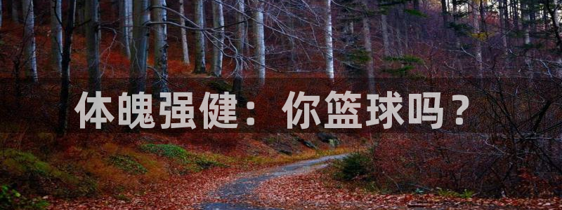 注册米兰体育官方正版app:体魄强健:你篮球吗?